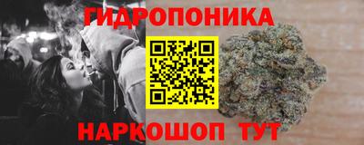 прущие грибы Краснокаменск
