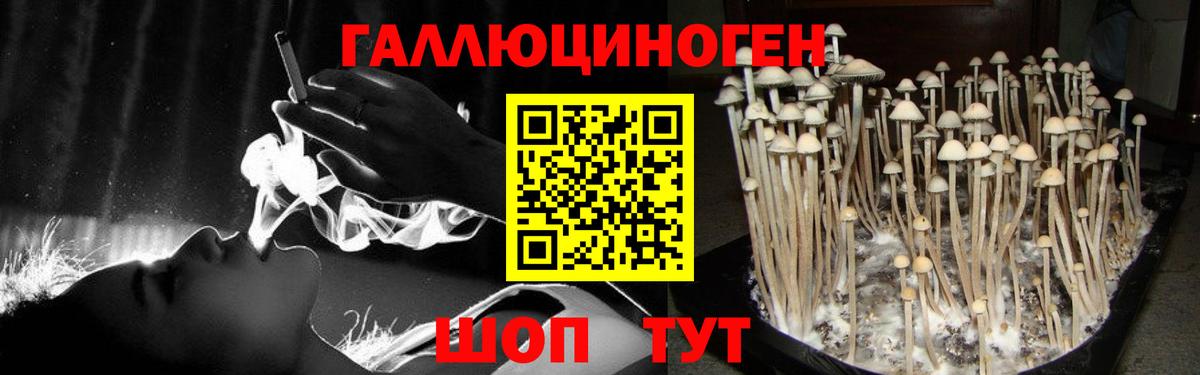 Шахты  Псилоцибиновые грибы GOLDEN TEACHER  Вход с VPN 